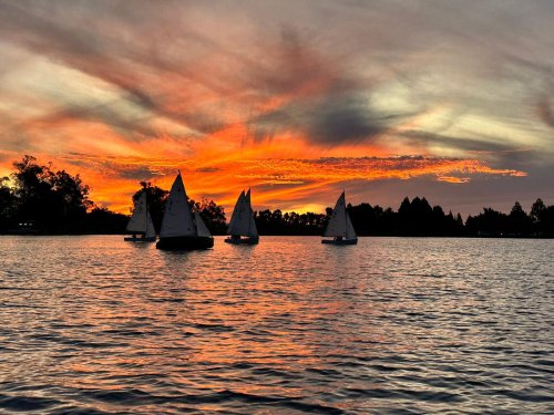 Logo for Kirikiriroa & St Peter’s Scout Group