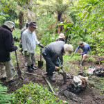 image for Restoring the native forest in Mangaonua Gully