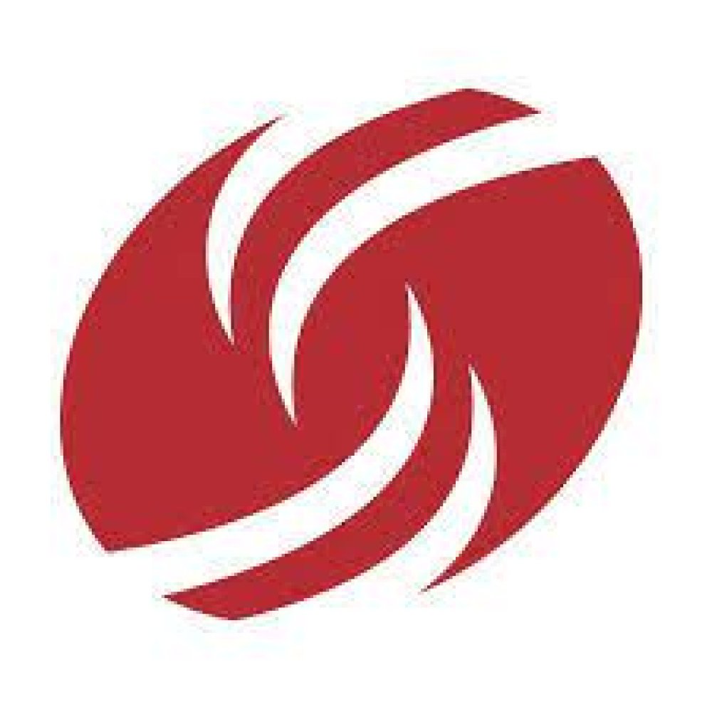 Dress For Success Hamilton Trust logo